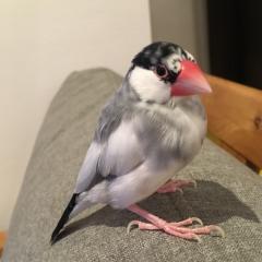 スズキヒロコ