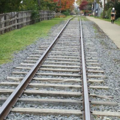 織田優成親衛隊(=^ェ^=)