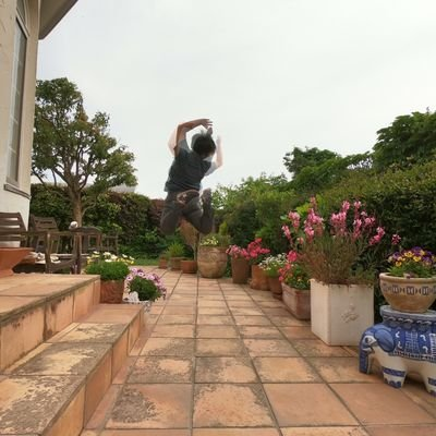 ダックスフント