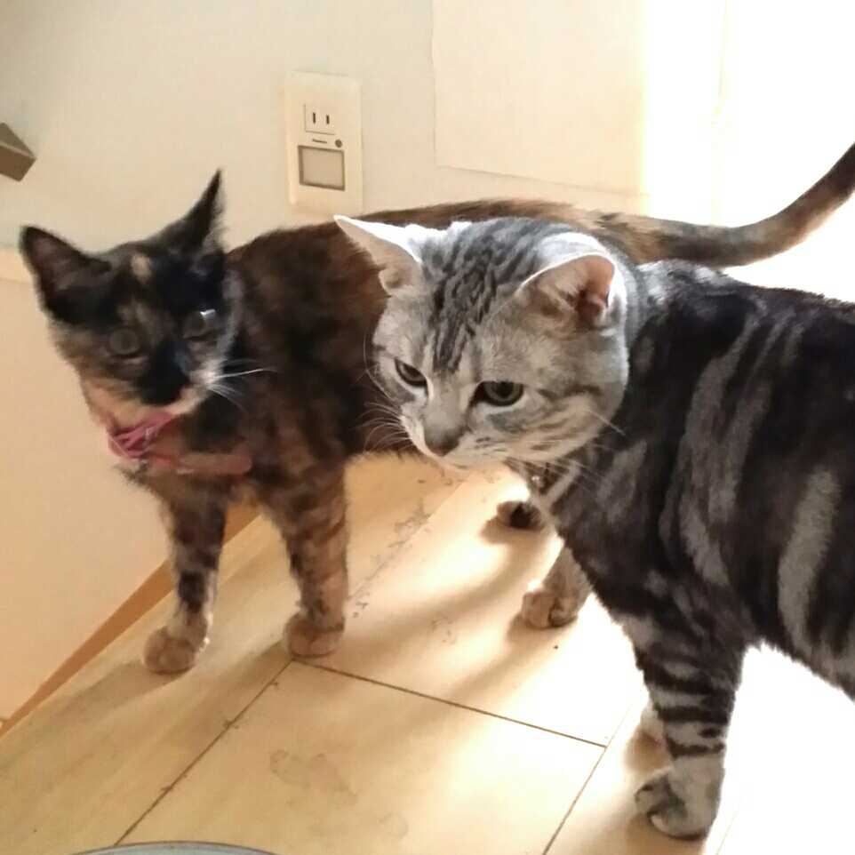 はる(￣ー￣ゞ－☆