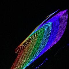 石川住みの方必見！！！！仲良くなりましょう！