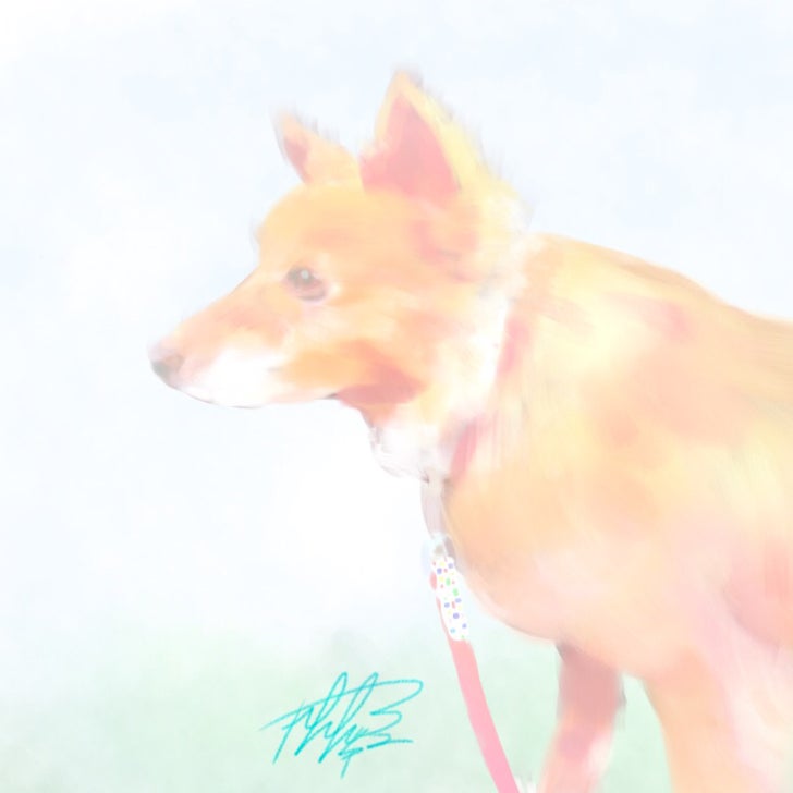 さにー