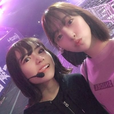 はたボー