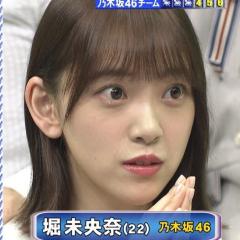 イソギンチャク