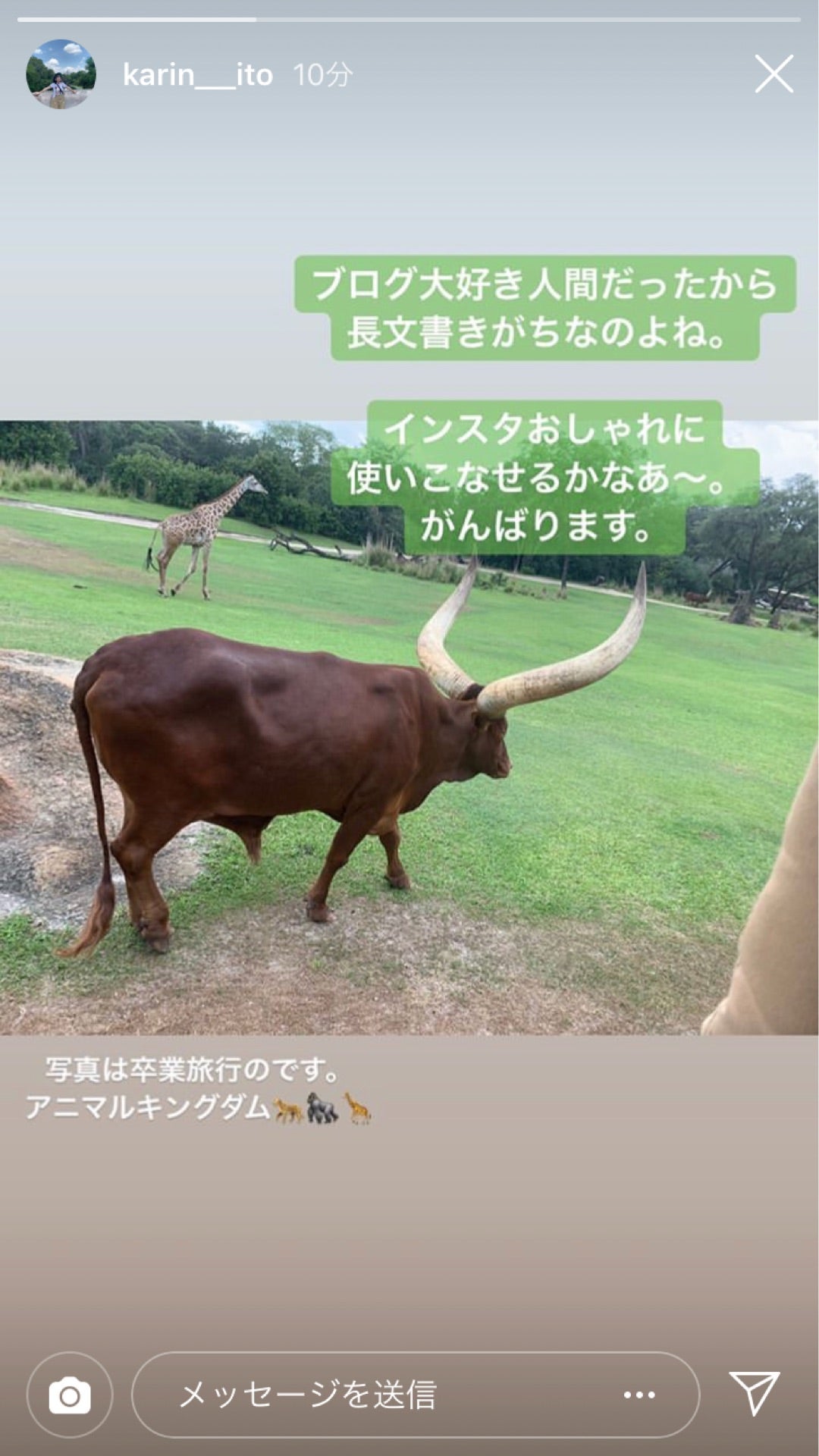 投稿画像