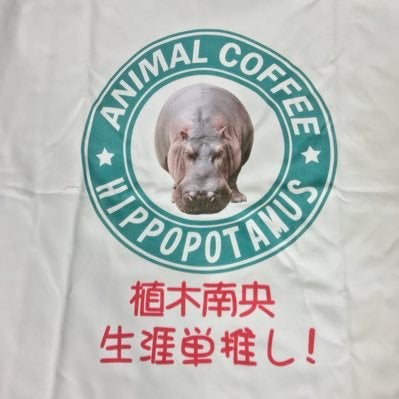 なごみ(カバちゃん)