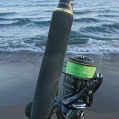 サバの味噌煮選手権
