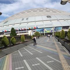 きょろのトーク