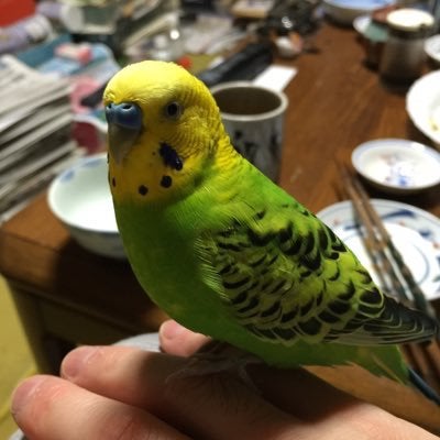 キキちゃん