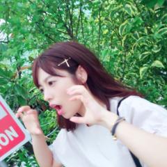 Tomo