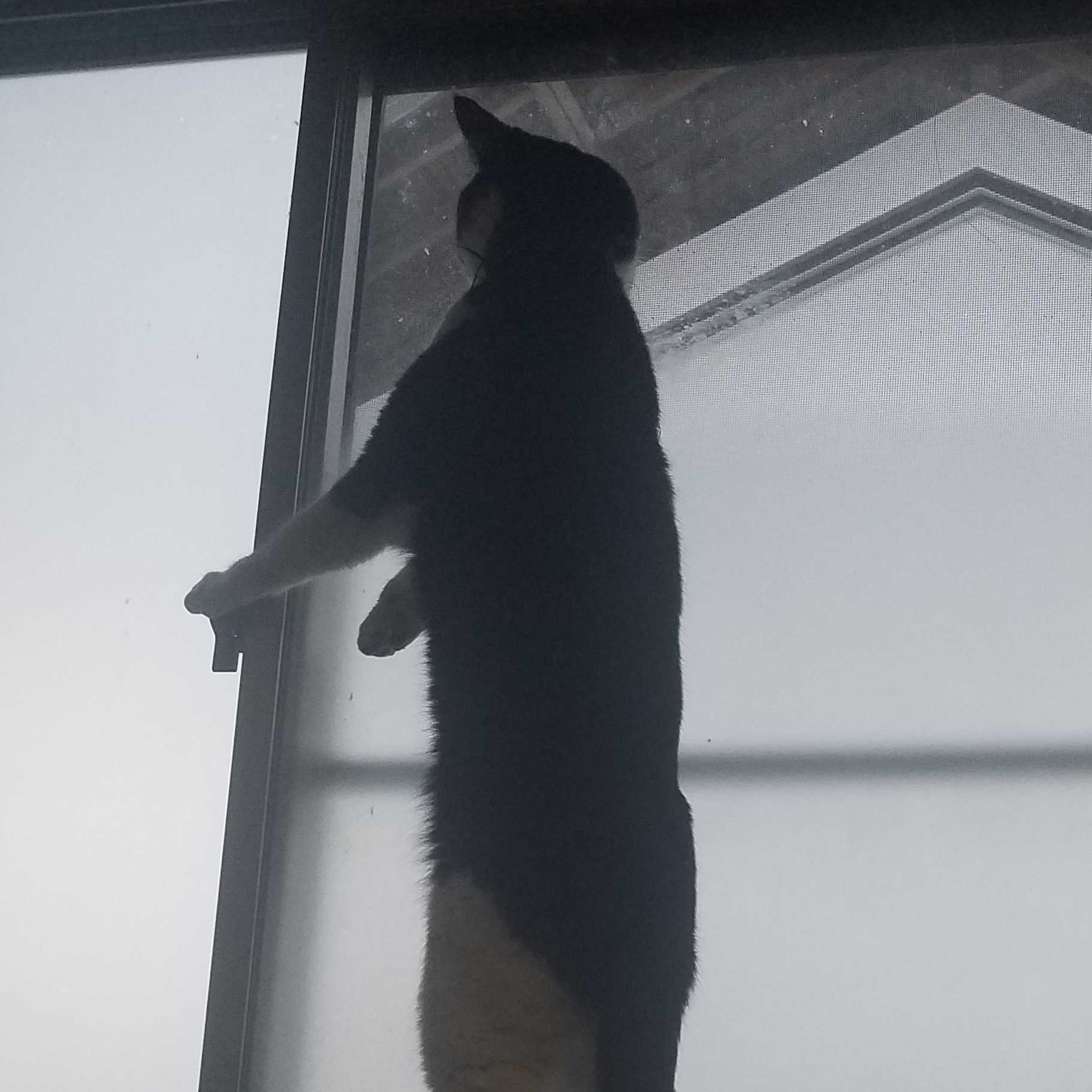 ジンキ