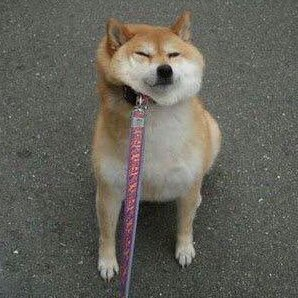 いっぬ(だい)のトーク