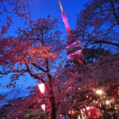 かのんのトーク