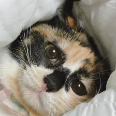 石井恵一のトーク