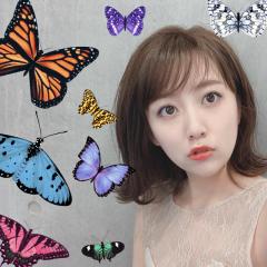 😊Nikoちゃん😊高みなのファン