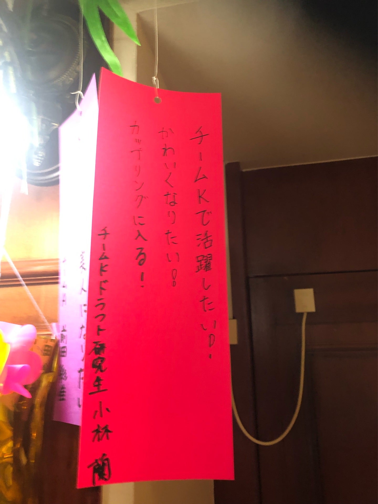 投稿画像