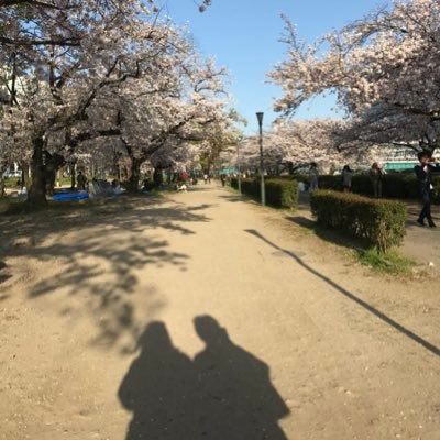 17 まいまい