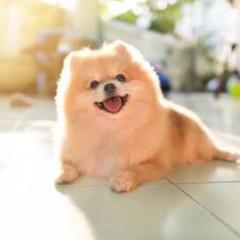 20 みやこ