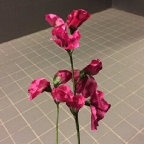 38 なす