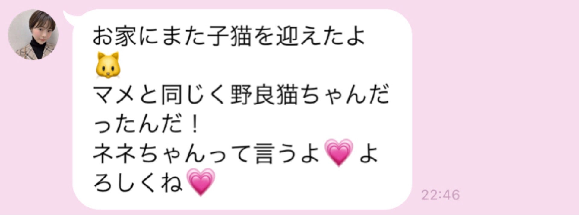 投稿画像
