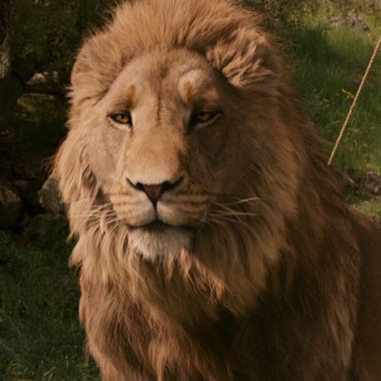 アスラン(ASLAN)のトーク