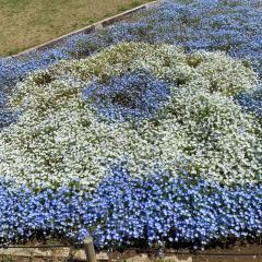 心が叫びたがっているのかな？