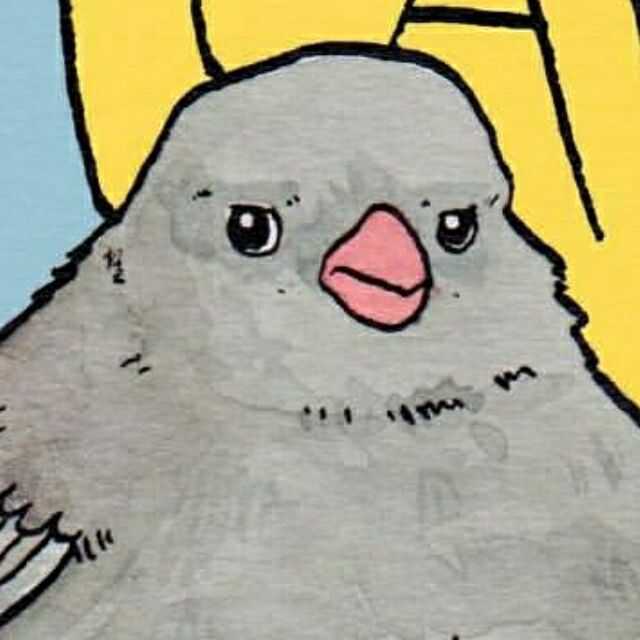 ィン