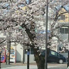 なかなかなかのトーク