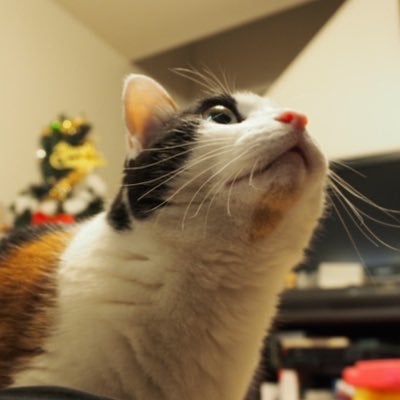 みゆき