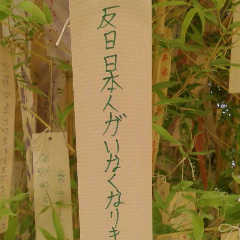 masa sato teamえくぼ