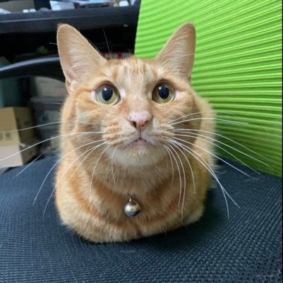 tsushiのトーク