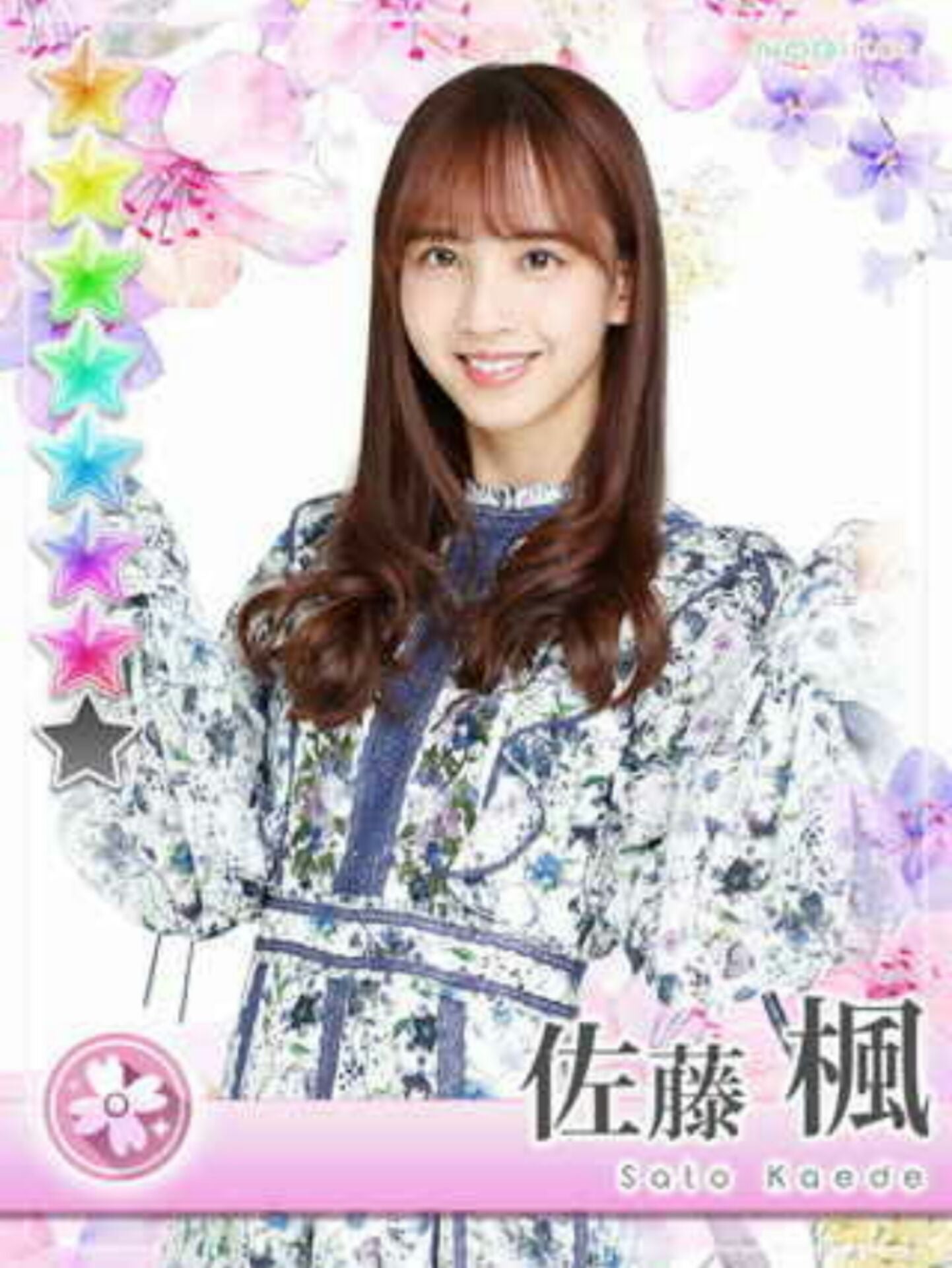 ๆ็จฟ็ปๅ