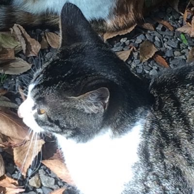 ながの