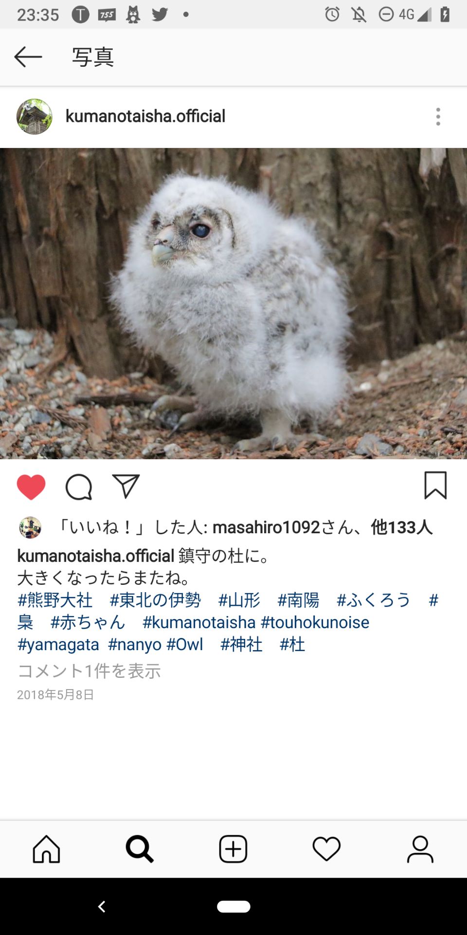 投稿画像