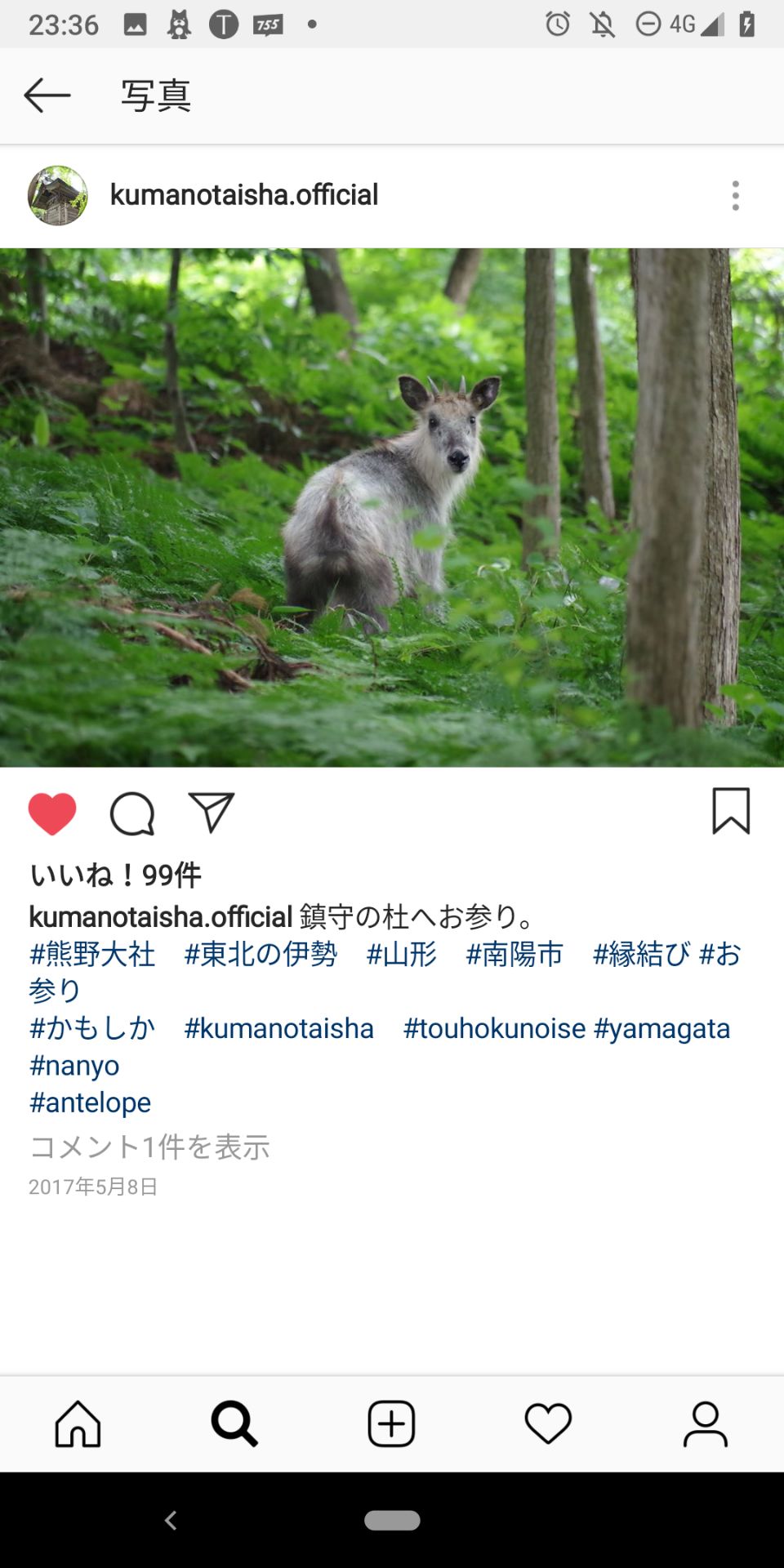 投稿画像