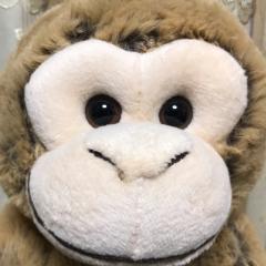 せろり