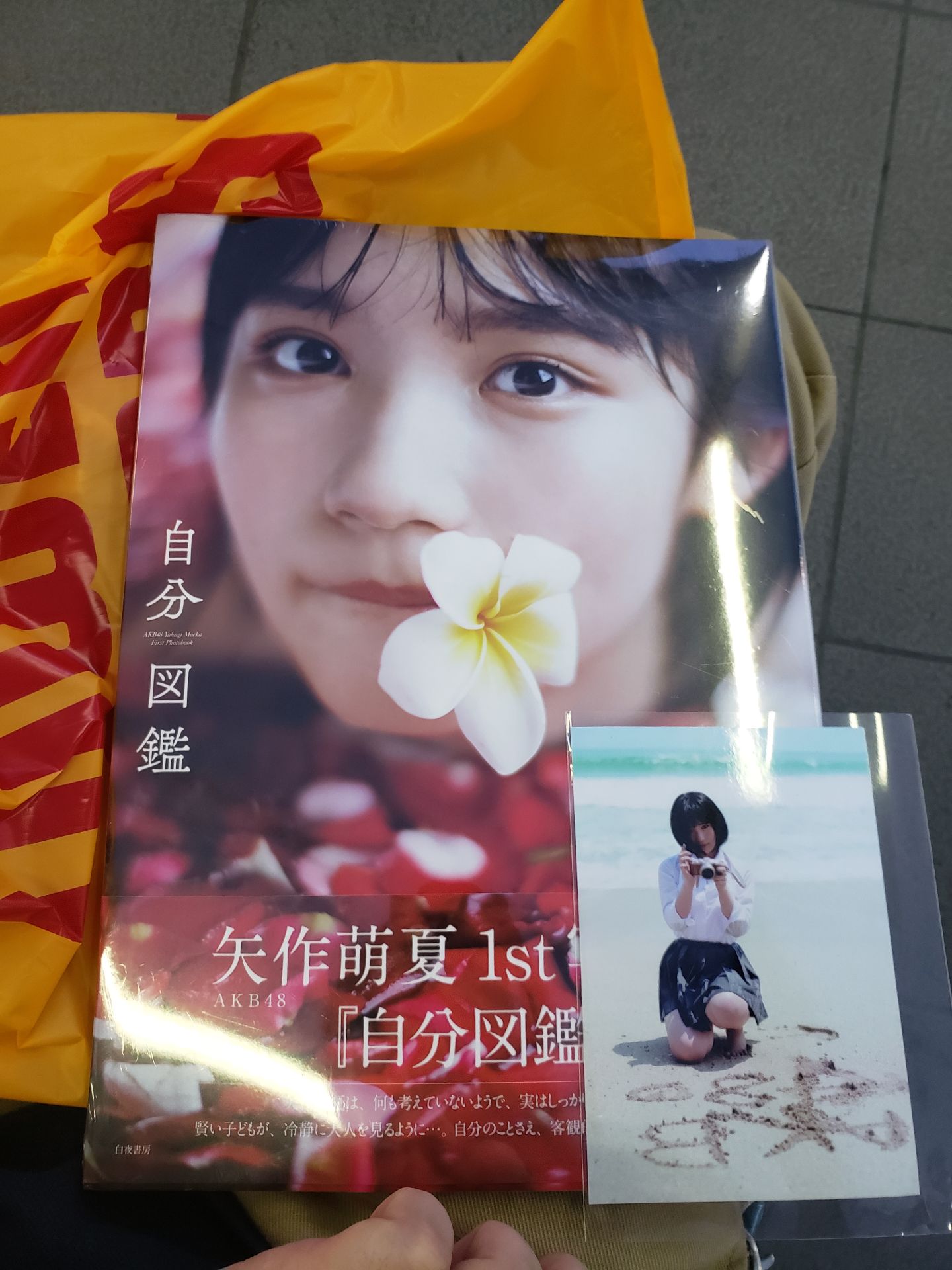 投稿画像