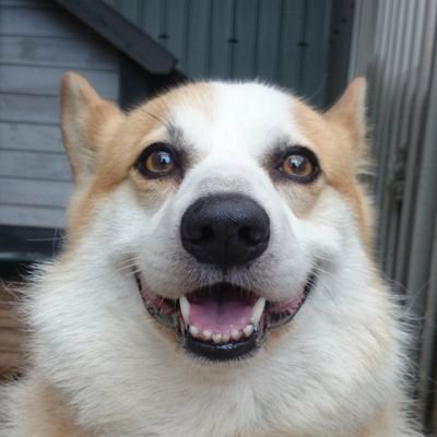 リュウタ