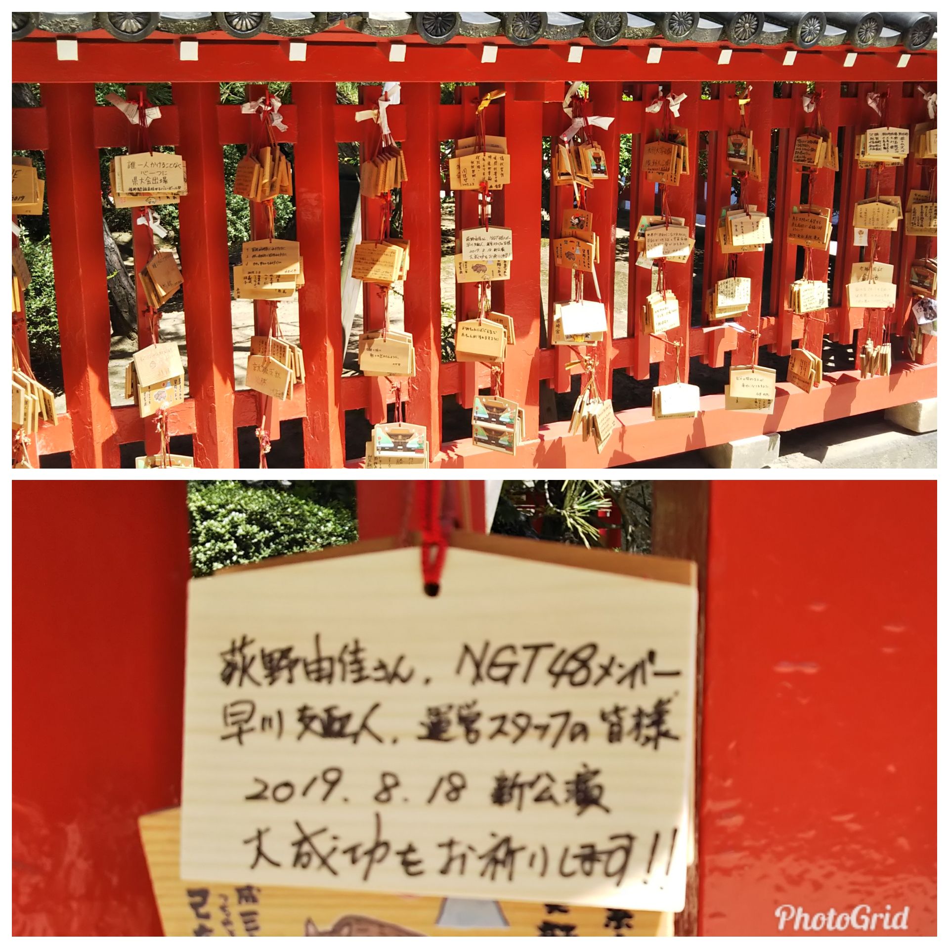 投稿画像