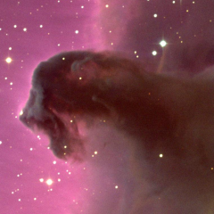 はんたんのトーク