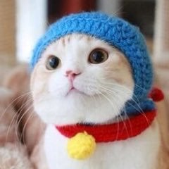 🌸まこり〜ん🌸のトーク