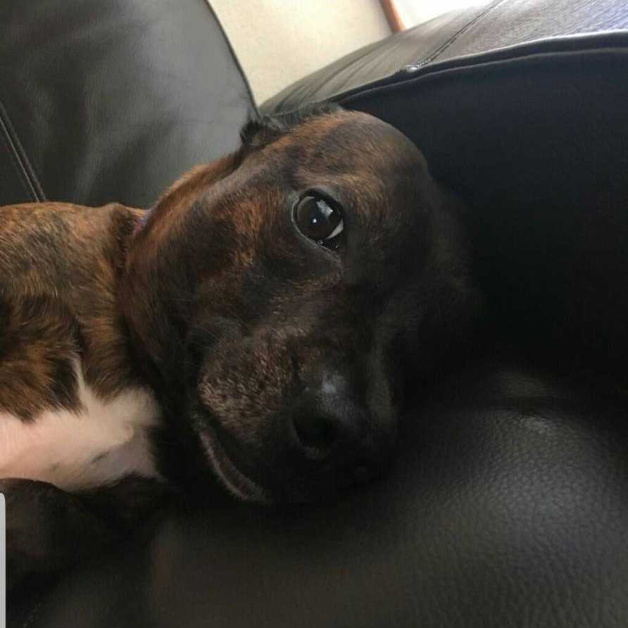 ガチバンテ✩⡱(ガチの本人)のトーク