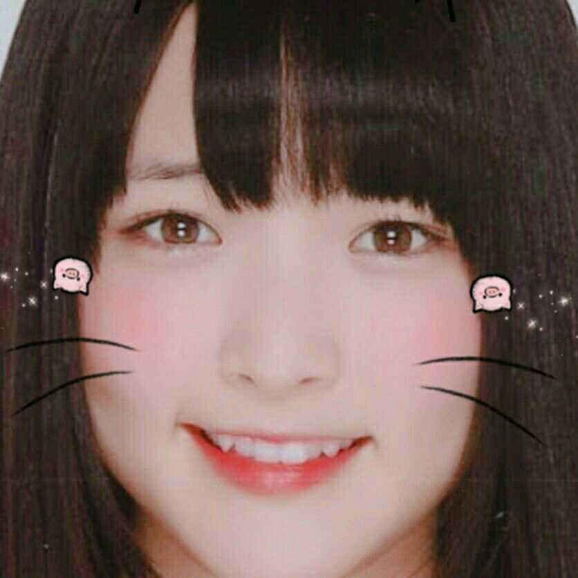 ここぽん