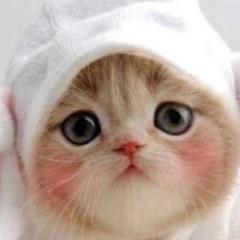 えみかのトーク