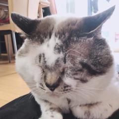 うらかどりょうまのトーク