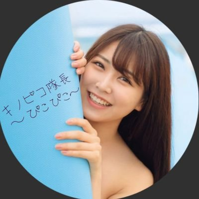 キノピコ隊長～ぴこぴこ～