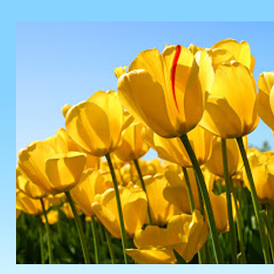 東北のhideyukiさんのトーク