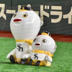 にこる