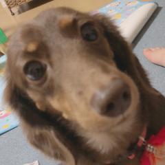 みやじのトーク