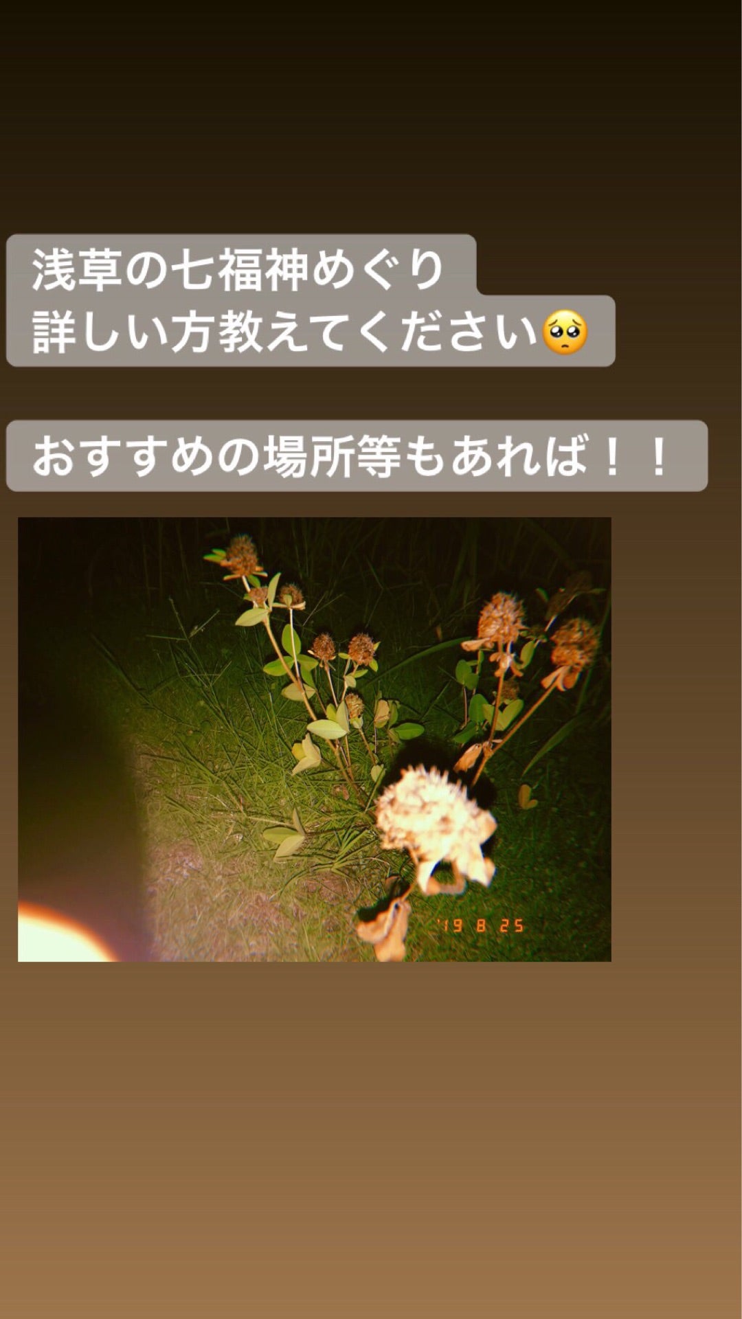 投稿画像